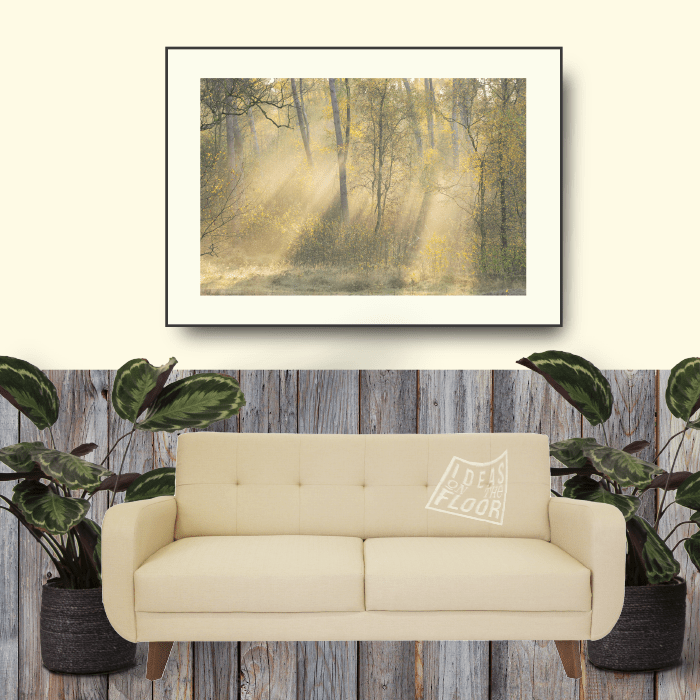 image-muurdecoratie-ideasonthefloor.com-fotoprint-fine-art-passepartout-interieur-herfst-herfstpalet-herfstkleuren-geel-zonneharpen-mist-herfst-bos-bomen
