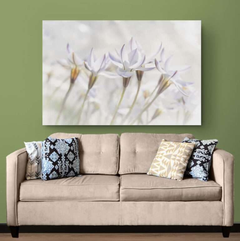 image-muurdecoratie-canvas-paneel-foto-op-doek-bloemen-wit-ideasonthefloor.com