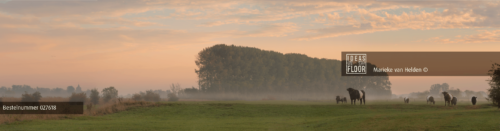 Ideasonthefloor.com Rustieke Panoramafoto Cow - Afbeelding 2