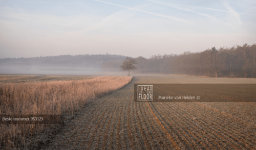 Ideasonthefloor.com Idyllische Landschapsfoto Early Morning Field - Afbeelding 2