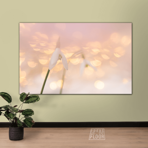image-product-muurdecoratie-aluminium-paneel-foto-bloemen-sneeuwklokjes-bloemenfotografie-wit-roze-pasteltinten-interieur-ideasonthefloor
