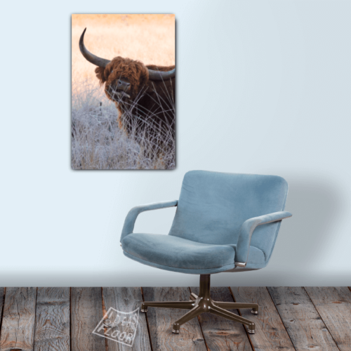 image-wanddecoratie-canvas-paneel-foto-op-doek-dierenfoto-titel-highlander-muurpaneel-schotse-hooglander-ideasonthefloor.com