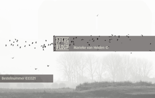 image-zwartwitfotografie-landschap-vogels-mist-bomen-uiterwaarden zevenaar-fine-art