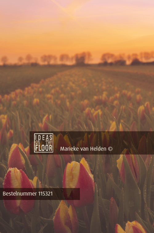 Bloemen Foto Romantisch Tulpenveld - Afbeelding 2