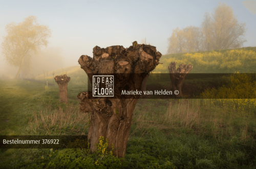 Ideasonthefloor.com Idyllische Landschapsfoto Yellow - Afbeelding 2