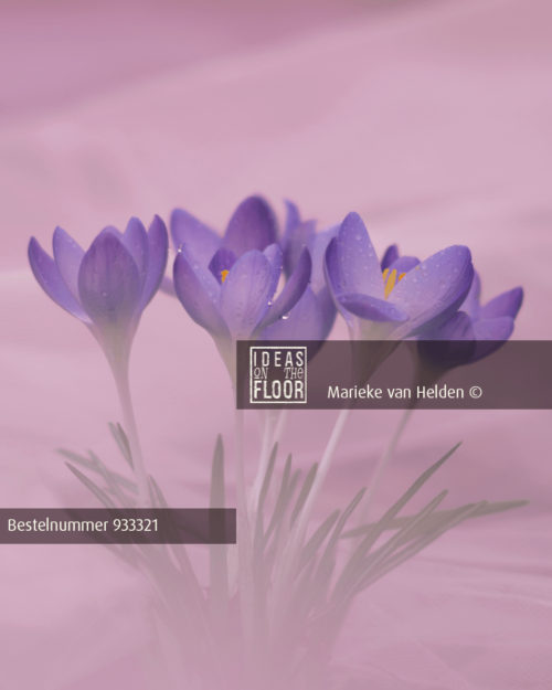 Ideasonthefloor.com Verfijnde Bloemen Foto Pink - Afbeelding 2