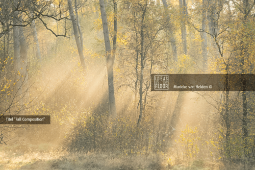 Ideasonthefloor.com Magische Natuurfoto Fall Composition - Afbeelding 2