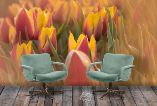 image-product-muurdecoratie-fotowand-foto-bloemen-tulpen-bloemenfotografie-tulpenvelden-zevenaar-interieur-muurfoto-wandfoto-fotobehang-ideasonthefloor