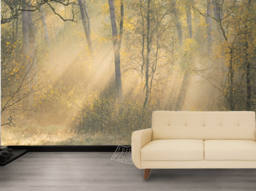image-product-wanddecoratie-muurdecoratie-muurbekleding-muurfoto-fotomuur-wandfoto-fotowand-natuur-foto-berken-zonneharpen-mist-herfst-herfstkleuren-titel-fall-composition-ideasonthefloor