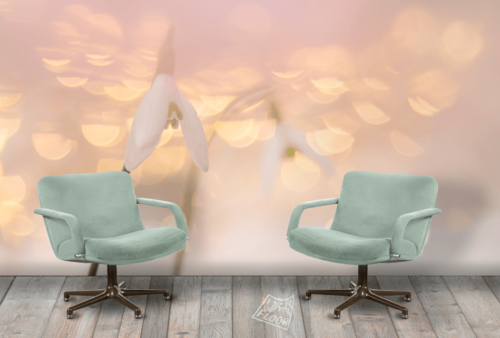 image-product-muurdecoratie-fotowand-foto-bloemen-sneeuwklokjes-bloemenfotografie-wit-roze-pasteltinten-interieur-muurfoto-wandfoto-fotobehang-ideasonthefloor