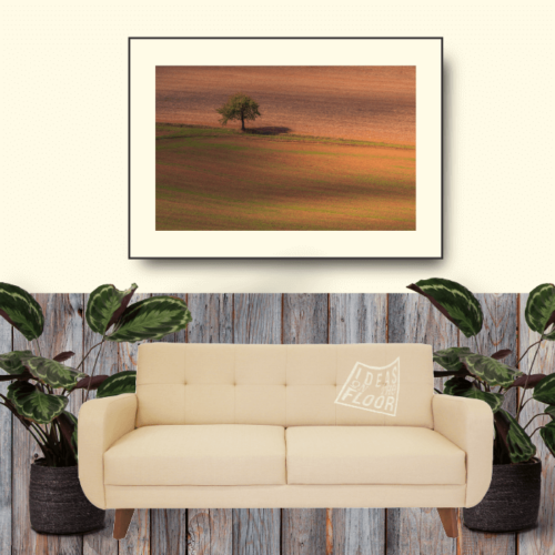 image-product-wanddecoratie-muurdecoratie-fotoprint-foto-boom-akkerland-zon-minimalisme-fotokunst-fotografische-kunst-titel-alone-ideasonthefloor