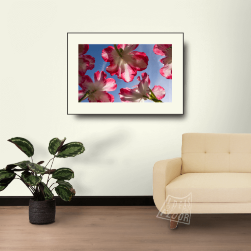 image-product-muurdecoratie-fotoprintl-foto-bloemen-titel-red-bloemenfotografie-tulpen-rood-interieur-ideasonthefloor.com