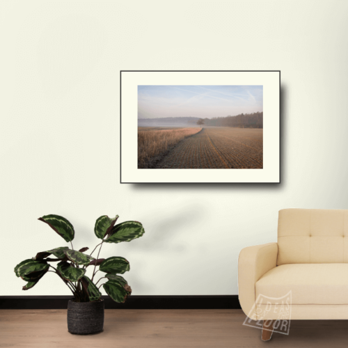 image-product-wanddecoratie-muurdecoratie-uitsnede-fotoprint-foto-boom-akkerveld-mist-titel-early-morning-field-ideasonthefloor