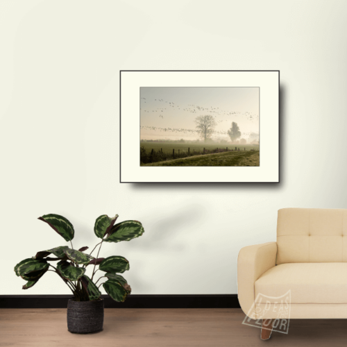 image-product-muurdecoratie-fotoprint-foto-ganzentrek-ganzen-ochtendlicht-mist-bomen-uiterwaarden-zevenaar-landschapsfotografie-ideasonthefloor