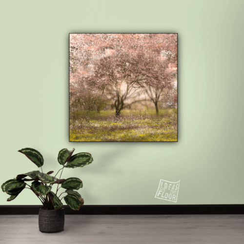 image-product-muurdecoratie-fotoprint-fine-art-titel-magnolia-snow-bomen-bloesem-bloesembomen-magnolia-roze-illustratie-ideasonthefloor.com