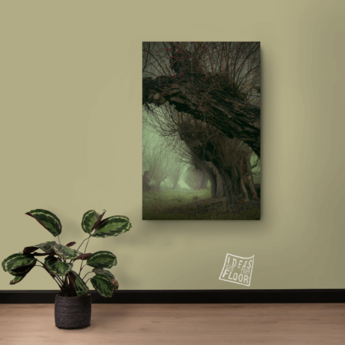 image-product-muurdecoratie-fotoprint-fine-art-titel-old-feet-bomen-wilgen-mist-spooky-mysterieus-illustratie-ideasonthefloor.com