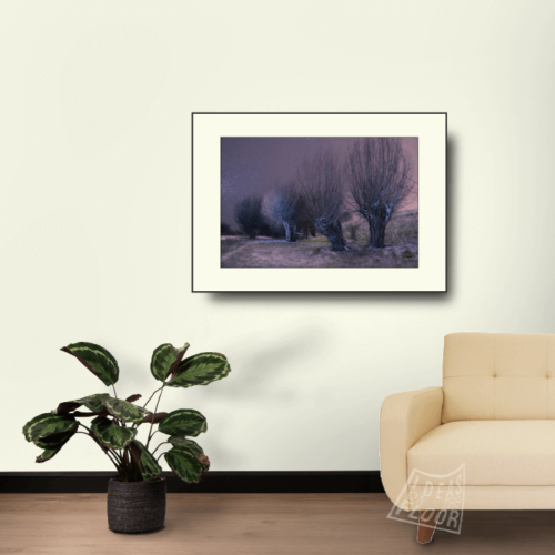 image-product-wanddecoratie-muurdecoratie-poster-fotoprint-lijst-passepartout-foto-sneeuw-landschap-nacht-wilgen-titel-old-feet-no-men-ideasonthefloor.com