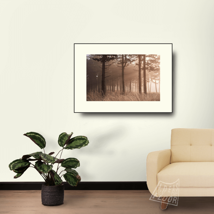 Ideasonthefloor.com Spannende Landschapsfoto Right Light - Afbeelding 3