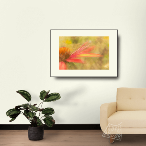 image-product-fotoprint-bloemen-foto-rood-titel-zonnehoed-interieur-emotiefotografie-ideasonthefloor.com