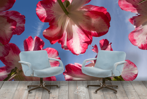 image-product-wandfoto-bloemen-foto-rood-titel-red-interieur-fotomuur-tulpen-fotobehang-ideasonthefloor.com