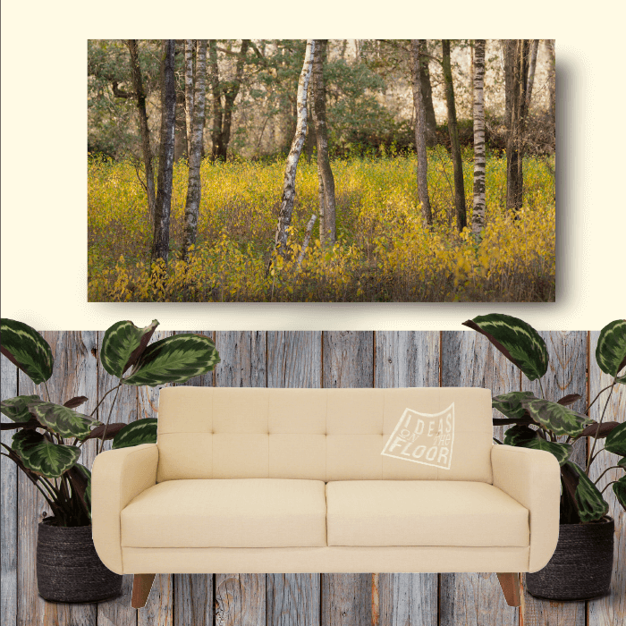 image-product-wanddecoratie-muurdecoratie-muurpaneel-aluminium-paneel-foto-foto-berken-berkenstammen-herfst-herfstkleuren-bos-titel-birch-ideasonthefloor