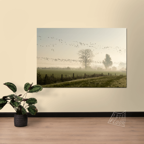image-product-muurdecoratie-wandpaneel-aluminium-paneel-canvas-foto-op-doek-ganzentrek-ganzen-ochtendlicht-mist-bomen-uiterwaarden-zevenaar-landschapsfotografie-ideasonthefloor