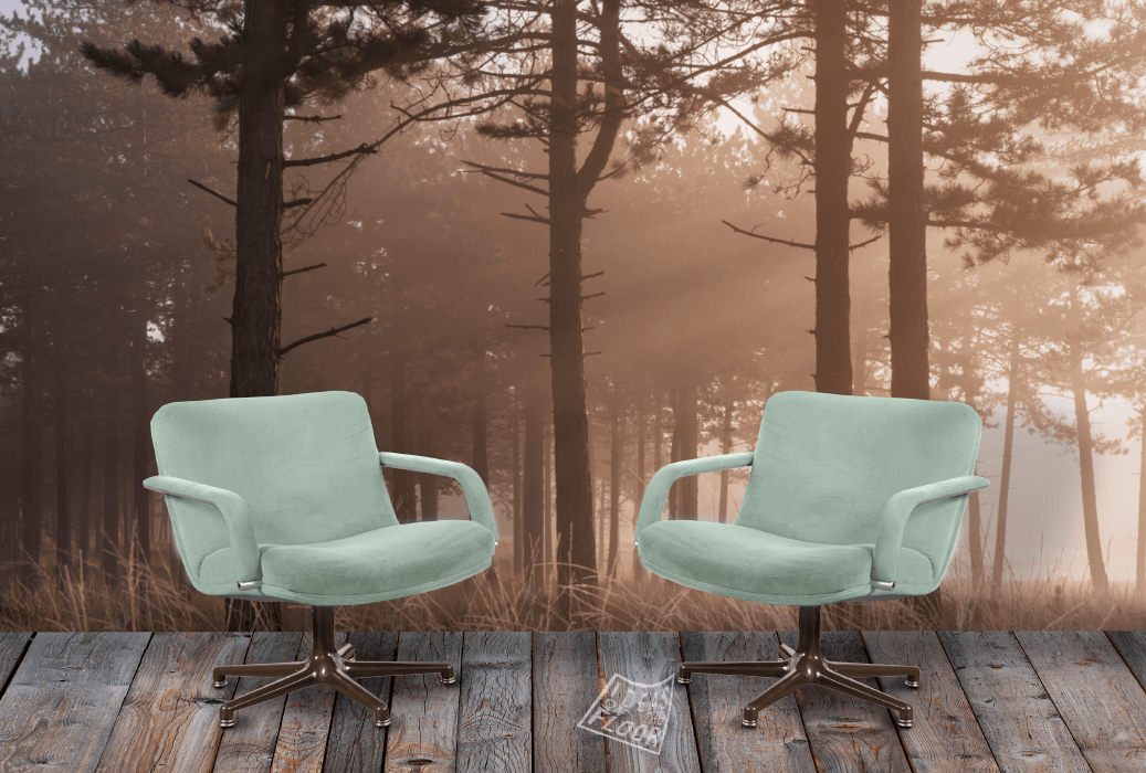 image-product-muurdecoratie-wandfoto-foto-bos-zonneharpen-mysterieus-ochtendlicht-mist-bomen-landschap-ideasonthefloor