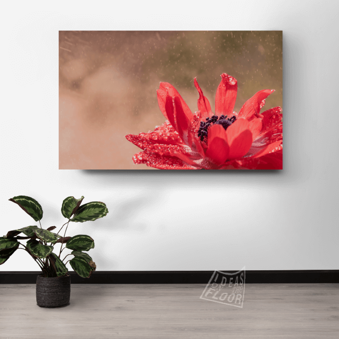 image-product-muurpaneel-foto-bloemen-bloemenfotografie-titel-tulpendauw-tulpenvelden-zevenaar-ideasonthefloor