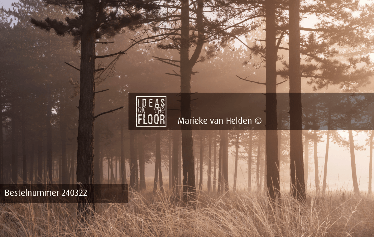 Ideasonthefloor.com Spannende Landschapsfoto Right Light - Afbeelding 2