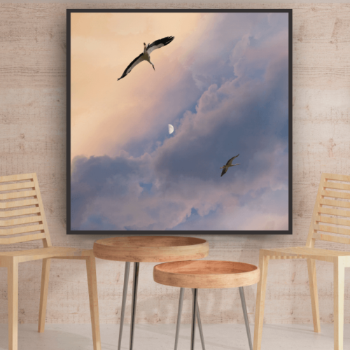 image-muurdecoratie-product-fine-art-fotoprint-titel-freedom-interieur-ooievaar-wolken-pasteltinten-vogels-maan-ideasonthefloor.com