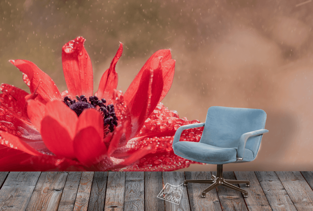 image-product-wandfoto-bloemen-foto-rood-titel-red-interieur-fotomuur-ideasonthefloor.com