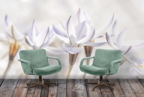 image-product-muurdecoratie-fotobehang-foto-bloemen-bloemenfotografie-wit-pasteltinten-interieur-ideasonthefloor.com