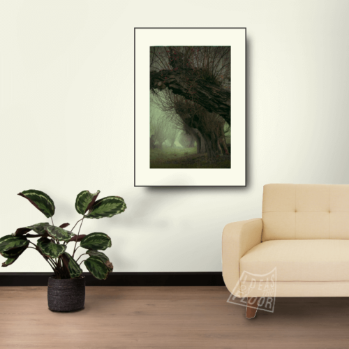 image-product-wandecoratie-fine-art-fotoprint-kleur-bomen-wilgen-mist-titel-Old-feet-ideasonthefloor.com