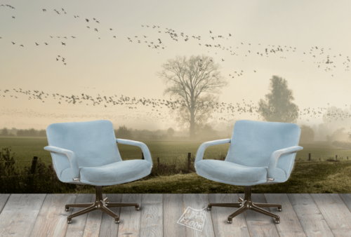 image-product-muurdecoratie-wandfoto-foto-ganzentrek-ganzen-ochtendlicht-mist-bomen-uiterwaarden-zevenaar-landschapsfotografie-ideasonthefloor
