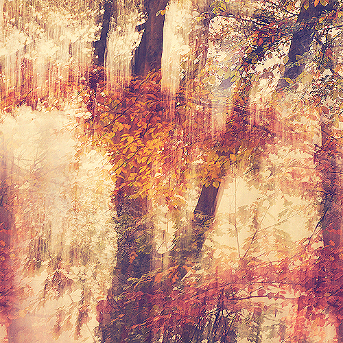 image-product-uitsnede-kunstfotografie-fine-art-photography-artistic-foto-abstract-abstracte-kunst-bijzondere-fotografen-unieke-kunstfotografie-natuur-fine-art-fotografie-natuur-bekende-fotografen-natuur-herfst-bomen-bos-herfstkleuren-landschap-fotografische-kunst-fotokunst-015921-fall-ideasonthefloor.com-marieke-van-helden-ideas-on-the-floor