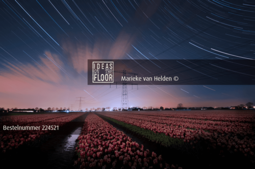 Ideasonthefloor.com Imposante Nachtfoto Startrail Tulips - Afbeelding 2