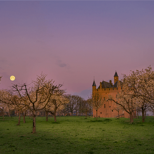 image-product-uitsnede-nachtfotografie-foto-maan-kasteel-doornenburgh-487620-Mooncastle-ideasonthefloor.com