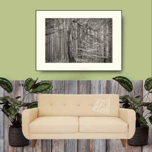 image-product-wanddecoratie-muurdecoratie-fine-art-fotoprint-zwartwit-titel-diversity-ideasonthefloor