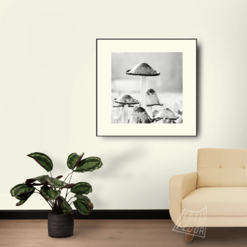 image-product-wanddecoratie-muurdecoratie-fine-art-fotoprint-zwartwit-titel-unnoted-ideasonthefloor