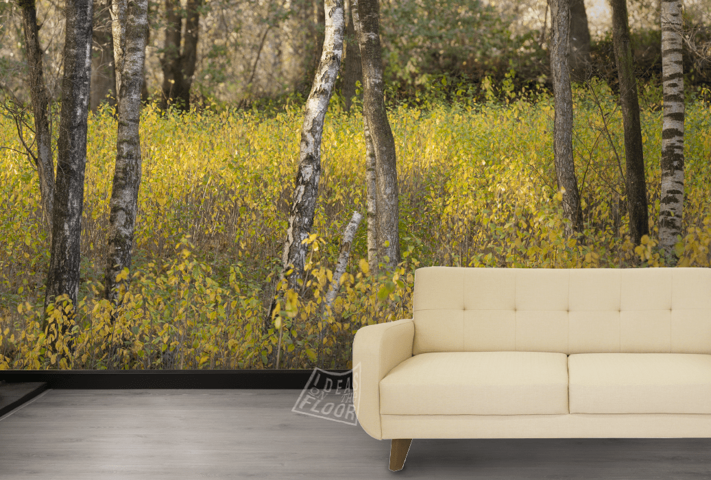 image-product-muurbekleding-wanddecoratie-muurdecoratie-muurfoto-horeca-woonkamer-fotobehang-panoramamuur-fotomuur-foto-panorama-berken-berkenstammen-herfst-herfstkleuren-bos-titel-birch-ideasonthefloor