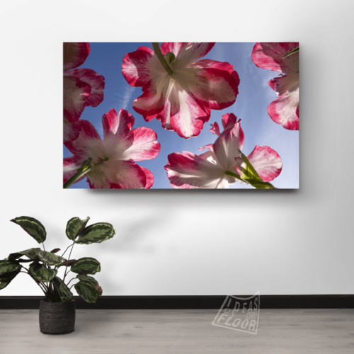 image-product-muurdecoratie-wandpaneel-foto-bloemen-bloemenfotografie-tulpen-rood-interieur-ideasonthefloor.com