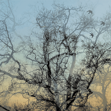img-fine-art-foto-fotografische-kunst-unieke-kunstfotografie-kunstfoto-awarded-photography-fotokunst-titel-mindful-in-interieur-fotoprint-muurdecoratie-wanddecoratie-wall-art-ideasonthefloor-ideas-on-the-floor-marieke-van-helden-kunstenaar-fotograaf